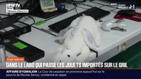 C'est votre vie - 26/11