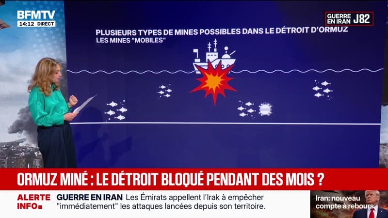 LES ÉCLAIREURS: une dizaine de mines serait déployée dans le détroit d'Ormuz
