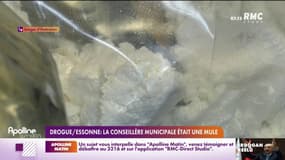 Drogue/Essonne: la conseillère municipale était une mule 