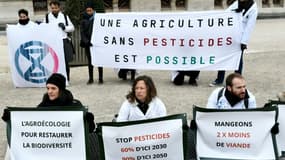 Manifestation pour dénoncer le recours aux pesticides dans l'agriculture, le 4 mars 2023 à Paris