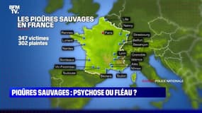 Piqûres sauvages : psychose ou fléau ?