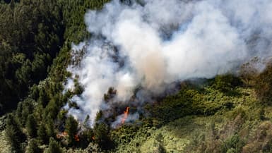 Cette vue aérienne montre des volutes de fumée provenant d'un feu de forêt à Nemocon, en Colombie, le 24 janvier 2024.