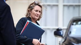 La porte-parole du gouvernement Sophie Primas le 15 mai 2025 à l'Élysée 