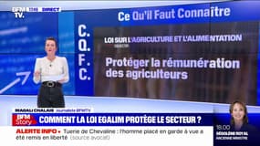 Baguette à 29 centimes: la loi EGalim protège-t-elle les boulangers?