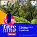 Comment raconter l’actualité aux enfants et aux ados ? Chaque semaine, en compagnie de leur invité, Zacharie Legros et Léa Bertrand décryptent un événement qui fait la une.