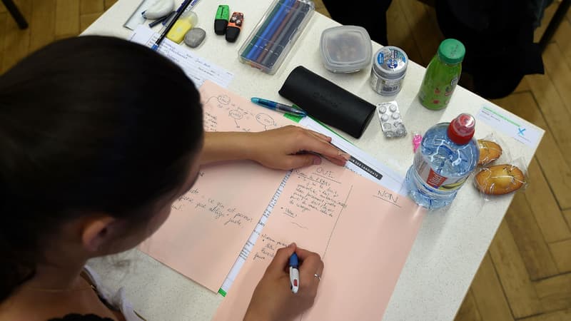 Une lycéenne lors d'une épreuve du baccalauréat, le 15 juin 2017 à Strasbourg.