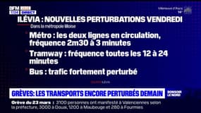 Grèves: les transports encore perturbés ce vendredi