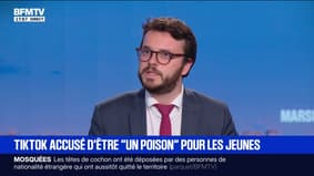 Fermeture de TikTok: "Aujourd'hui, le droit européen le permet ", affirme Arthur Delaporte, président de la commission d'enquête sur TikTok