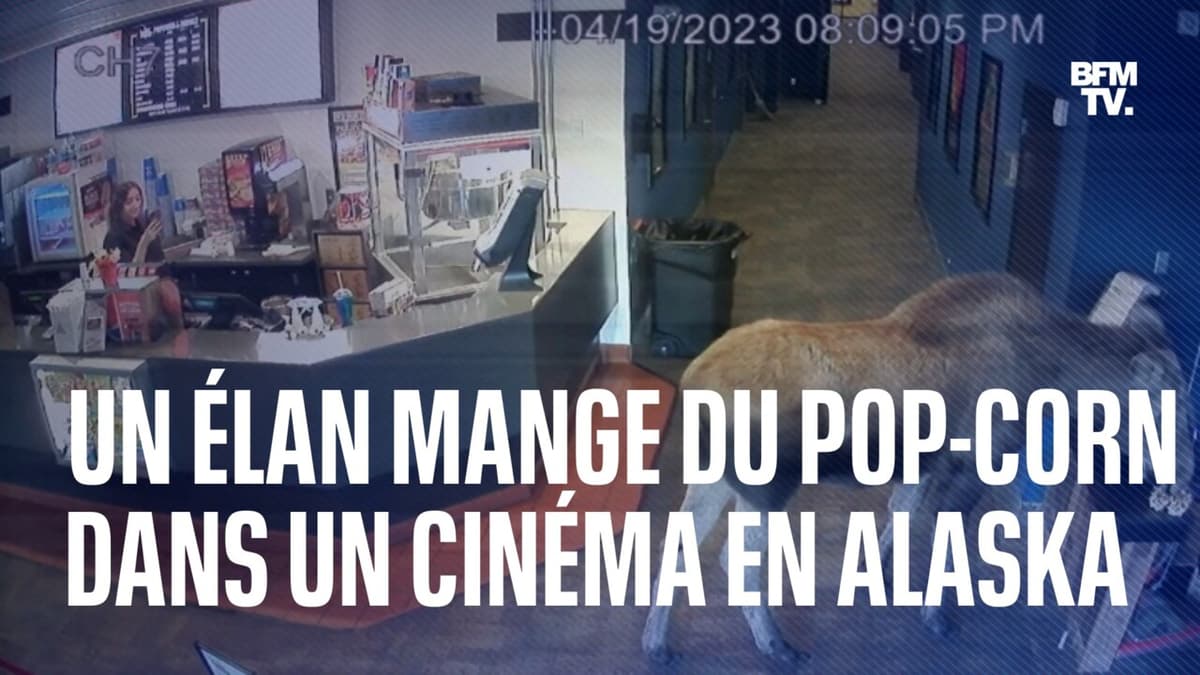 placeholder video