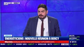 "Il est normal que le politique mette la pression sur les énergéticiens"