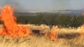 Capture d'écran d'une vidéo diffusée par les services forestiers américains montrant le départ d'un incendie dans l'Arizona, en avril 2017, à l'occasion d'une "gender reveal party"
