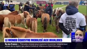 Paris: le monde équestre manifeste devant les Invalides pour un taux réduit de la TVA