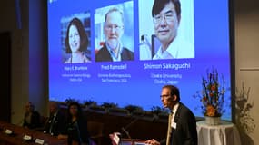 Le secrétaire général du Comité Nobel, Thomas Perlmann, annonce les trois lauréats du prix Nobel de médecine 2025 à l'Institut Karolinska de Stockholm, en Suède, le 6 octobre 2025 : Mary E Brunkow, Fred Ramsdell et Shimon Sakaguchi. 