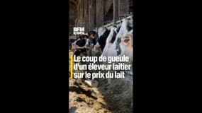 "C'est inacceptable !" : le coup de gueule d'un éleveur laitier sur le prix du lait 🐄🥛