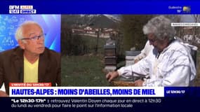 Hautes-Alpes: moins d'abeille, moins de miel