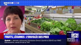 La présidente de l'association Familles rurales, réclame "un chèque alimentation uniquement pour acheter des produits frais" 