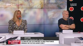 Le projet de loi contre la maltraitance animale va-t-il assez loin ? - 27/01