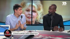Les GG veulent savoir: Brigitte Bardot va-t-elle trop loin en dénonçant les actrices allumeuses ? - 18/01