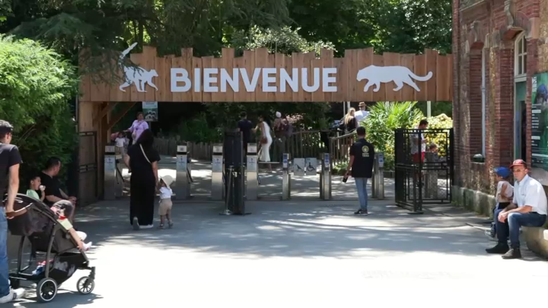 femme attaquée par les loups au zoo de thoiry