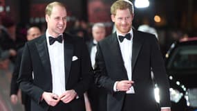 Le prince William et le prince Harry à Londres le 12 décembre 2017 