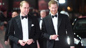 Le prince William et le prince Harry à Londres le 12 décembre 2017