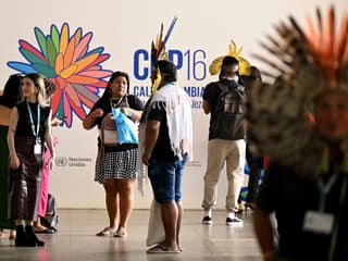 Des participants autochtones brésiliens sont photographiés sur le lieu de la conférence COP16 au Pacific Events Center à Cali, en Colombie, le 20 octobre 2024. (Photo d'illustration)