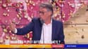 À vous de choisir : Vous êtes plutôt bifteck ou planète ? - 31/08