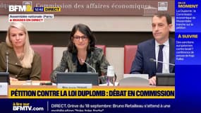 La pétition contre la loi Duplomb sera débattue en commission parlementaire