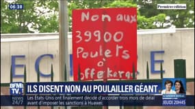 Dans le Nord, un projet de poulailler géant indigne les habitants 