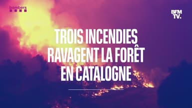 Trois incendies simultanés ravagent la forêt en Catalogne à cause de la canicule