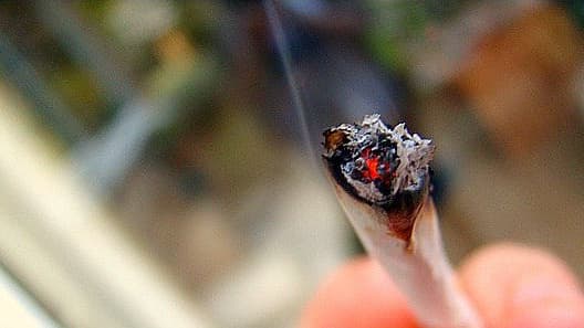 Près de deux-tiers des Français sont opposés à la dépénalisation du cannabis