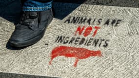 Un slogan vegan tagué sur le sol à Lille, en août 2018. (photo d'illustration)