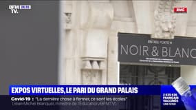 Expos virtuelles, le pari du Grand Palais - 21/02