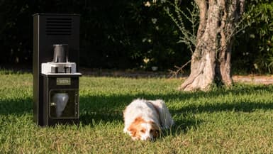 Qista : la borne qui fait disparaître les moustiques et vous offre plus de tranquillité