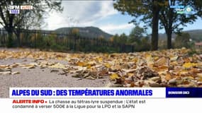 Alpes du Sud: des températures anormalement élevées