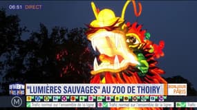 Sortir à Paris : "Lumières Sauvages" au zoo de Thoiry