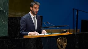 Tony Estanguet devant l'Assemblée générale de l'ONU, le 21/11/2023