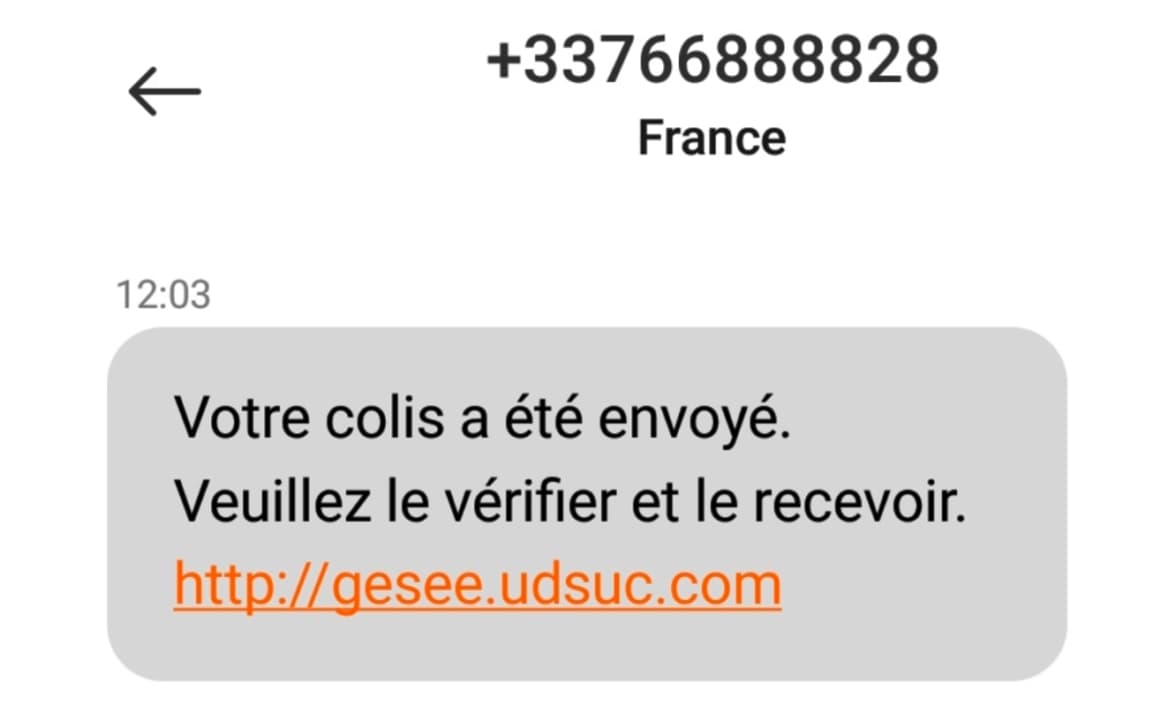 Attention à vos SMS, une campagne d'arnaques à la réception de colis frappe la France