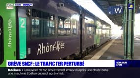 Auvergne-Rhône-Alpes: le trafic des TER perturbé en raison d'une grève à la SNCF