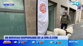 Lyon: ouverture en septembre 2025 d'un nouveau dispensaire de la SPA