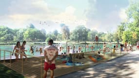 La mairie de Paris veut créer un espace de baignade dans le lac Daumesnil.