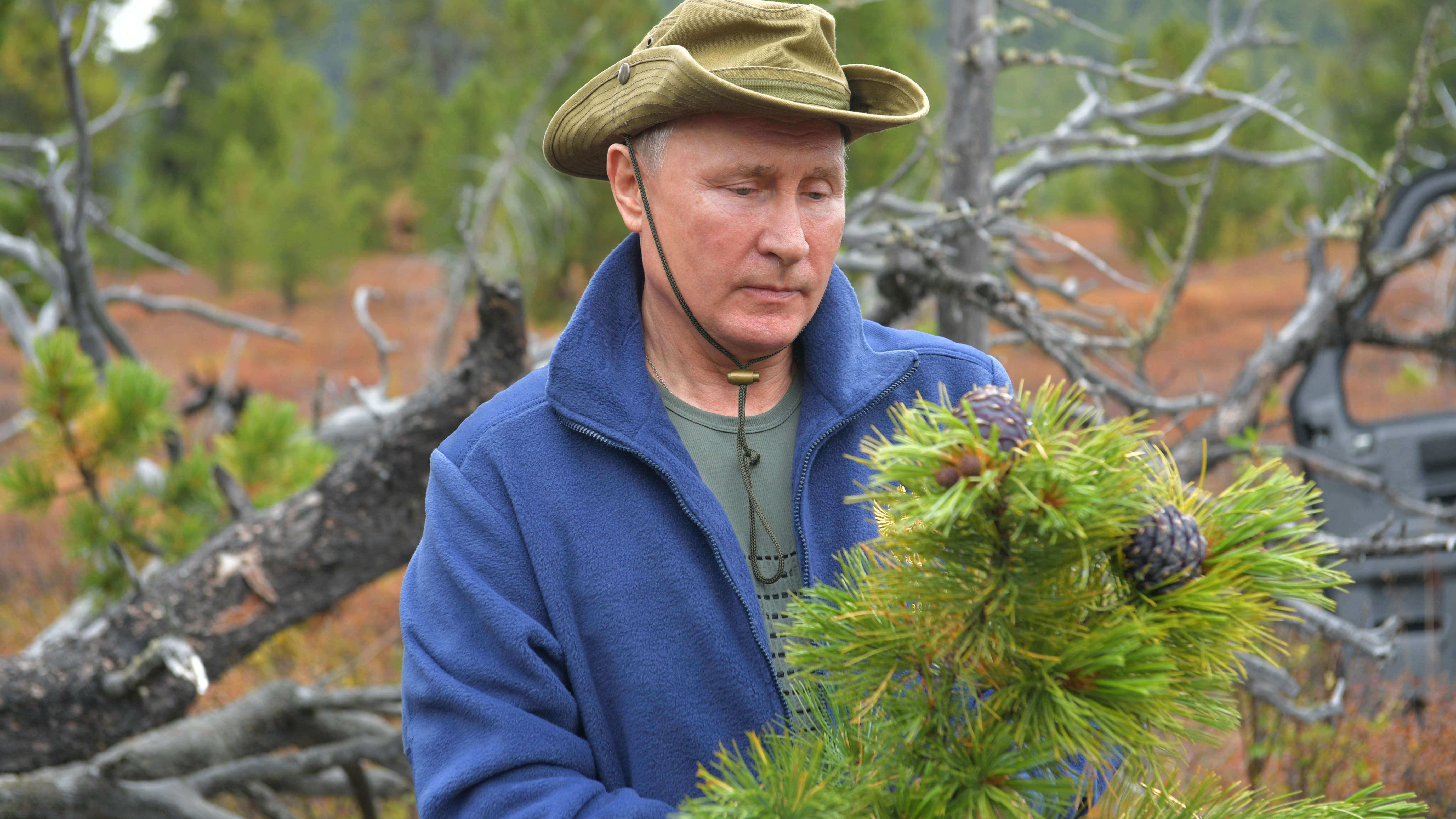 Vladimir Poutine - Image d'illustration 