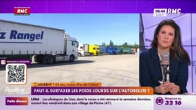 Taxe poids lourds en Alsace : "Un surcoût de 28.800 euros" témoigne un auditeur