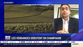 Champagne : des ventes "faibles voire très faibles partout" selon Julien Duval-Leroy
