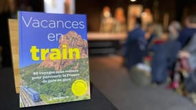 Le guide Vacances en Train (Michelin)