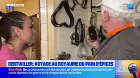 Dans votre assiette: voyage au royaume du pain d'épices à Gertwiller