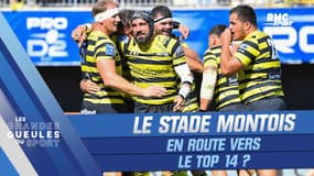 Pro D2 : Mont-de-Marsan en route vers le Top 14 ?