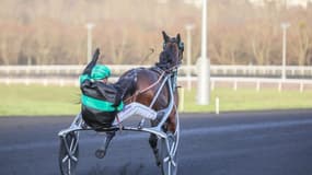 Krack Time Atout triomphe dans le Critérium des 5 ans 