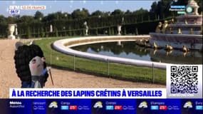 Île-de-France: partir en balade à la recherche des Lapins crétins au château de Versailles