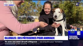 À Ollioules, elle conçoit des pâtisseries pour animaux avec des recettes spécifiques